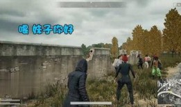 新疆伊吾最新爆料事件,揭秘神秘事件背后的真相